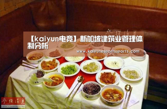 【kaiyun电竞】新加坡建筑业管理体制分析(图3) 开云电竞
