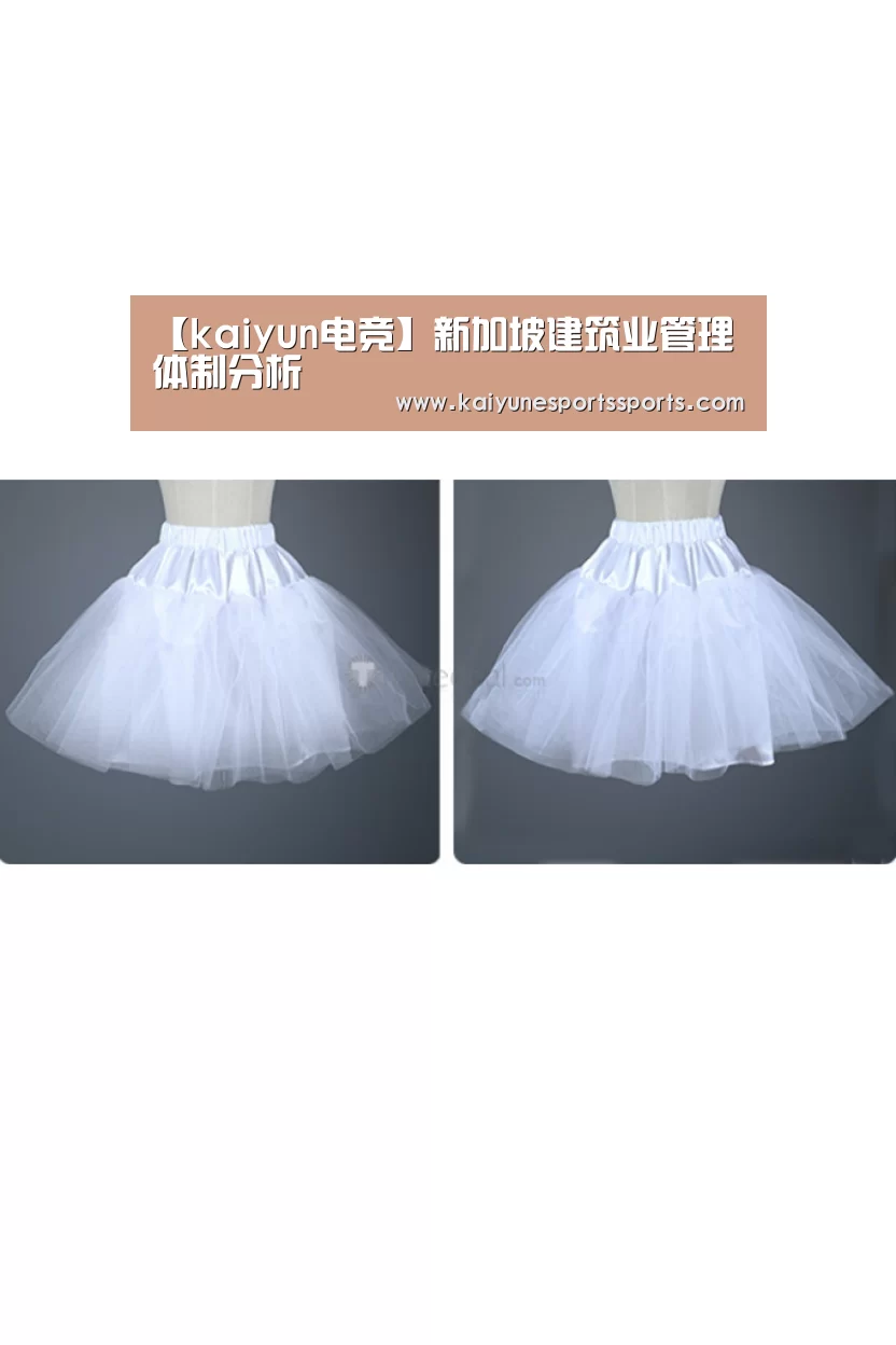 【kaiyun电竞】新加坡建筑业管理体制分析(图4) 开云电竞平台