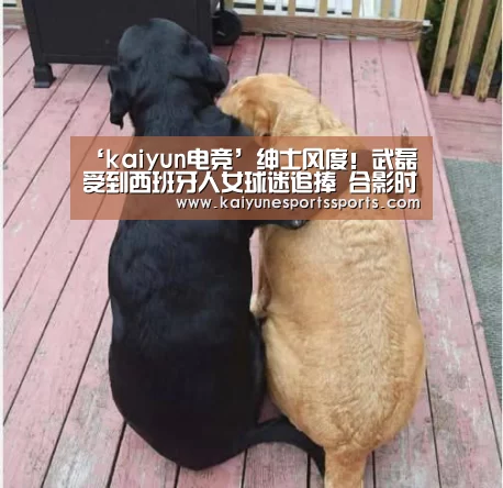 开云电竞平台