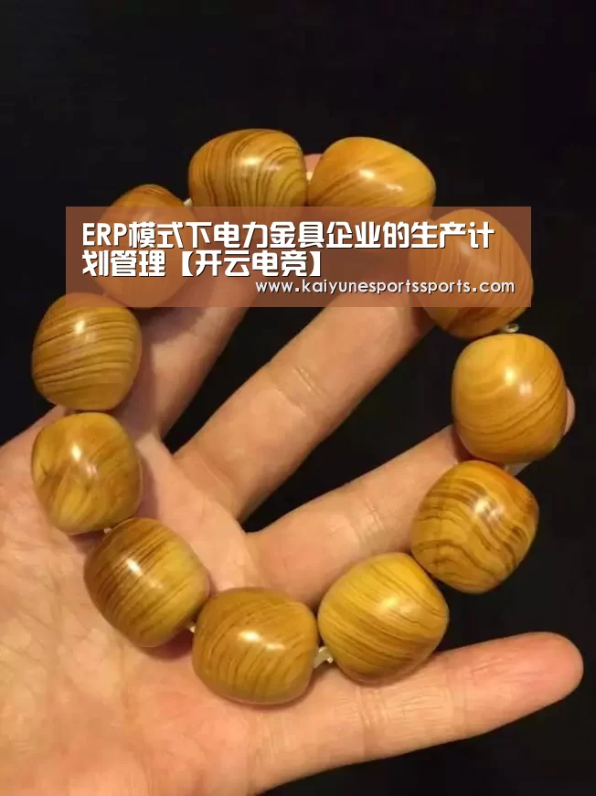 ERP模式下电力金具企业的生产计划管理【开云电竞】(图2) kaiyun电竞